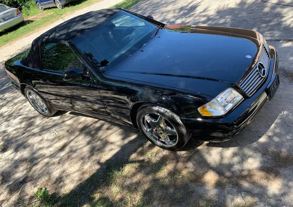 łowicz Mercedes-Benz SL cena 117000 przebieg: 85000, rok produkcji 2001 z Łowicz